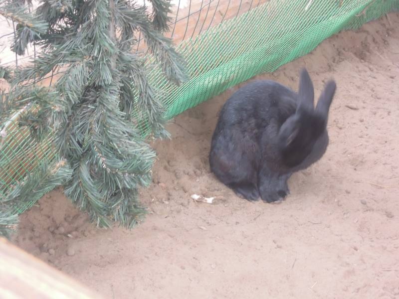 DSCN4890.JPG
