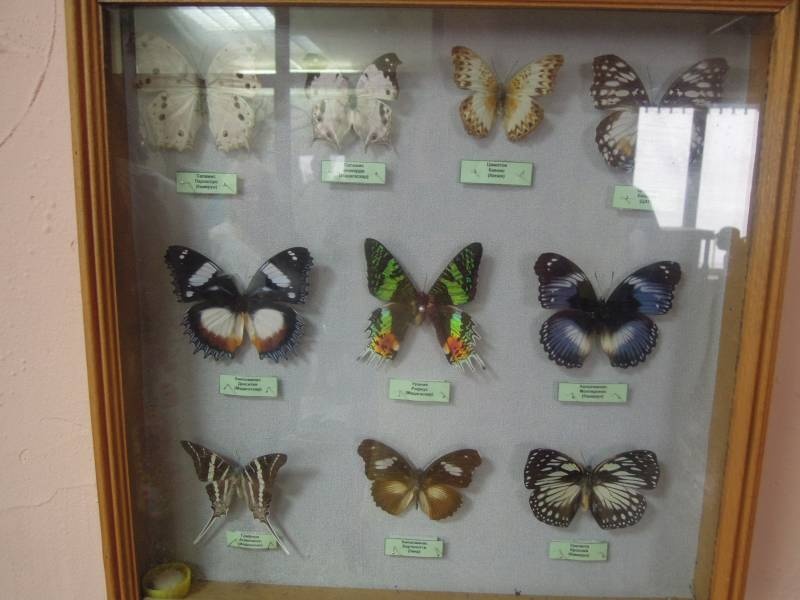 DSCN0435.JPG