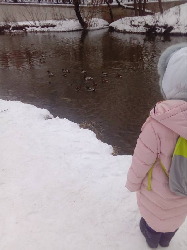 Москва зима 2018 23