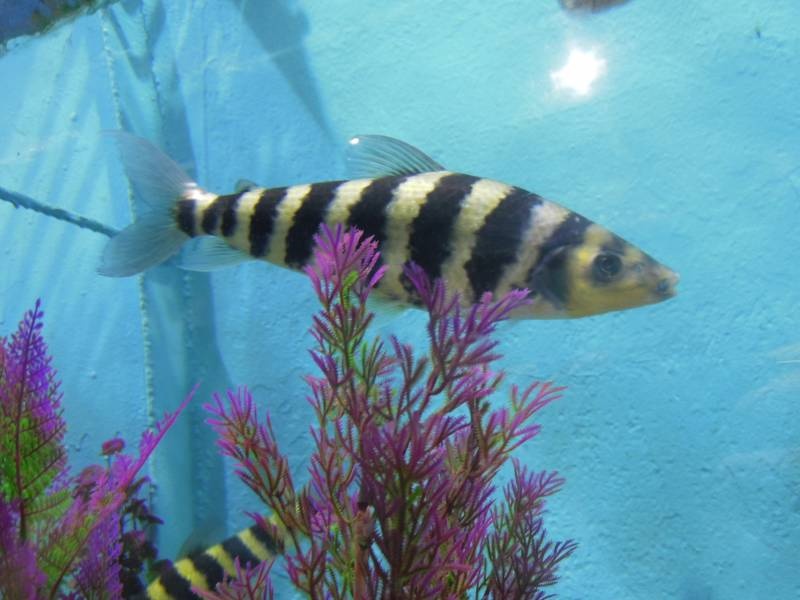 DSCN9915.JPG