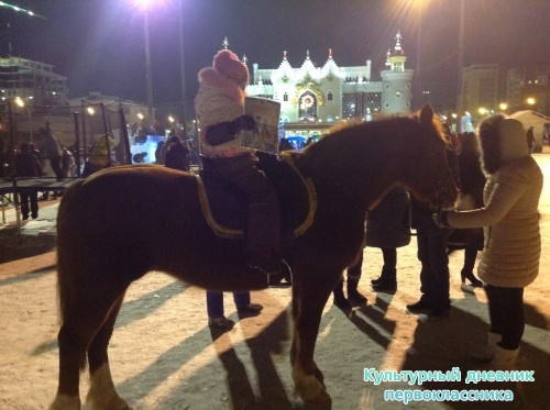 Ледовый городок18159