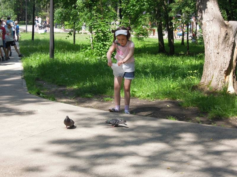 DSCN9236.JPG
