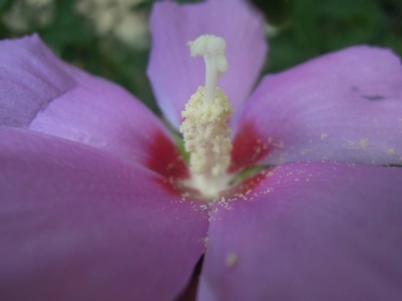 DSCN0462.JPG