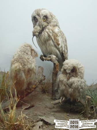 DSCN6844.JPG