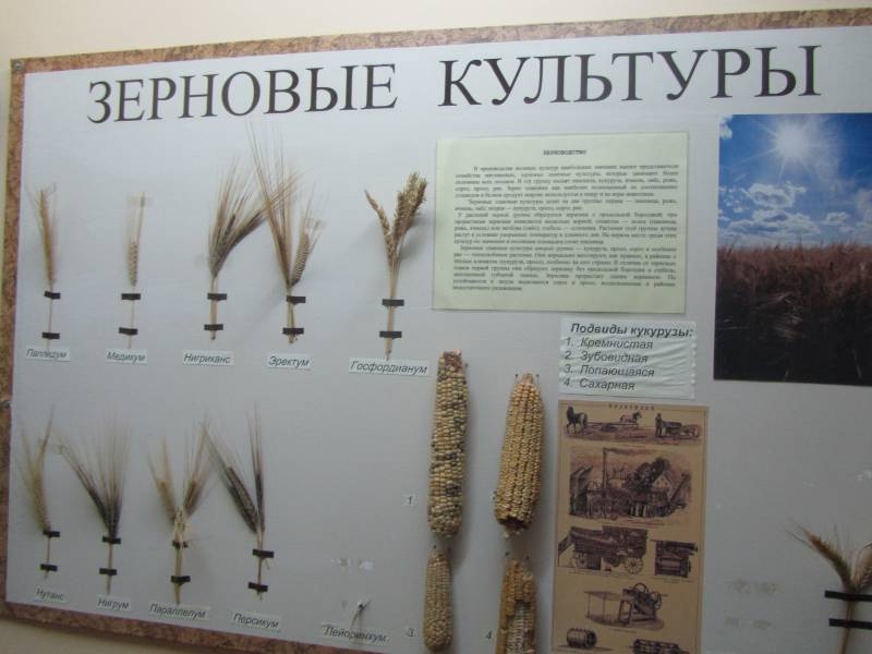 IMG_6544.JPG