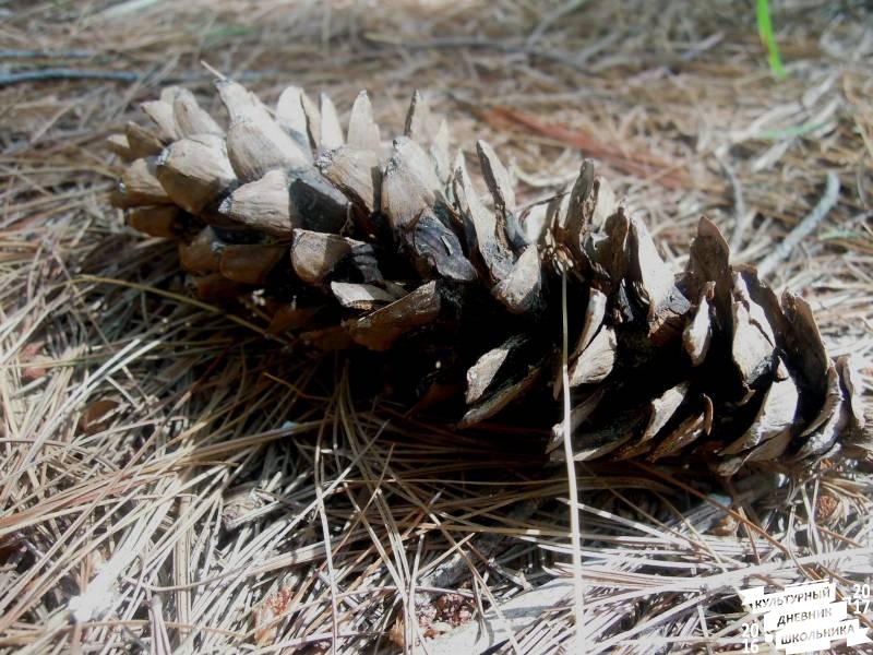 DSCN1600.JPG