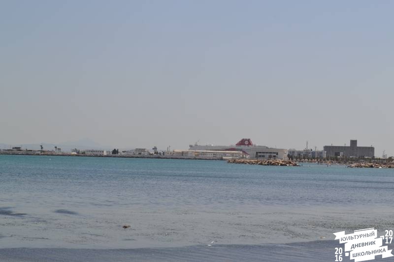 DSC_0309.JPG