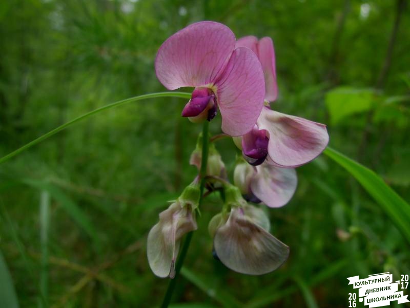DSCN0578.JPG