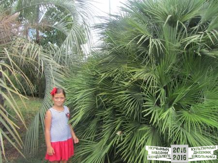 IMG_0885.JPG