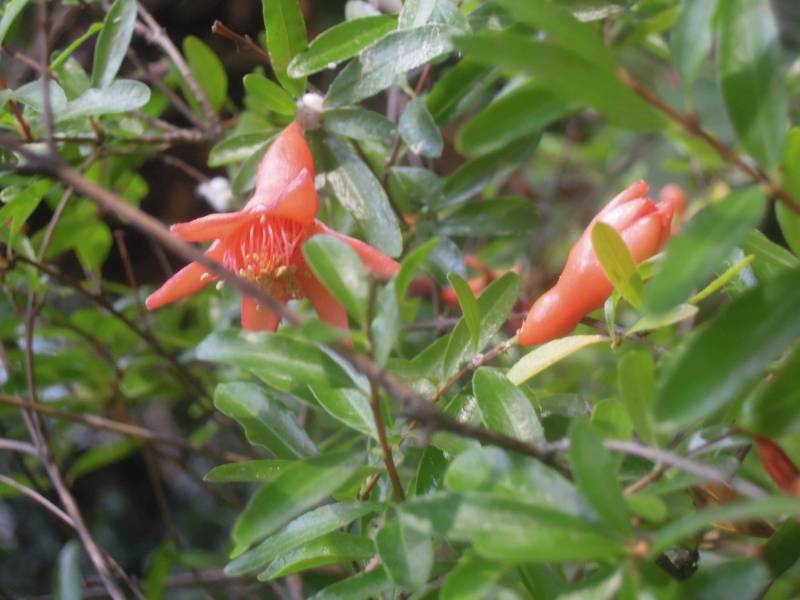 DSCN4787.JPG