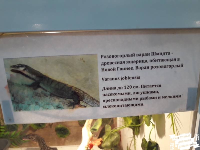 Выставка зоопарк "Живые тропики"60604
