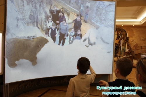 Новый экспонат «Ледниковый период»16490