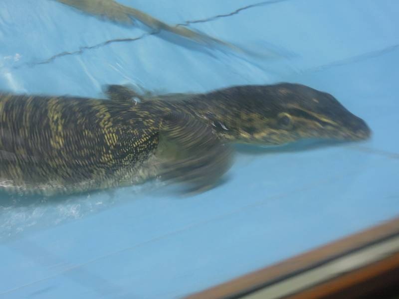 DSCN0421.JPG