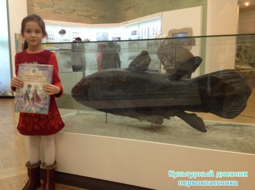 Музей естественной истории16835