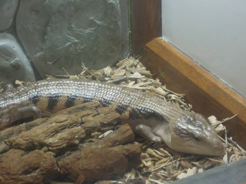 DSCN0404.JPG