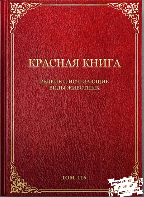 Орлан-белохвост. Зооботанический сад. Казань.78382