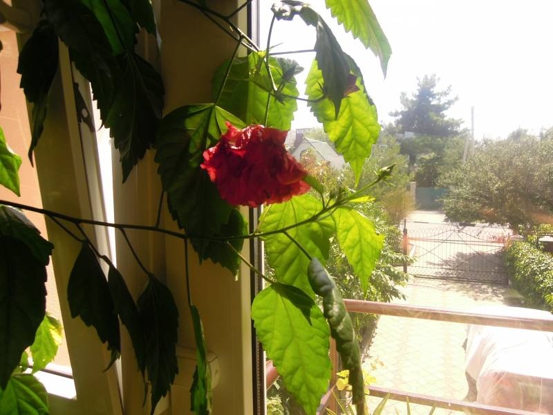 DSCN0574.JPG