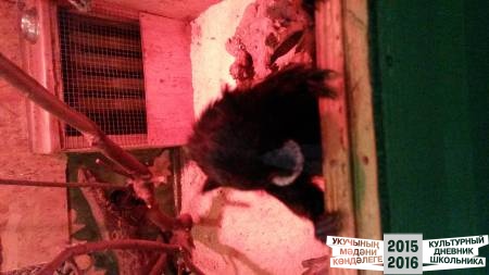 20160514_092904