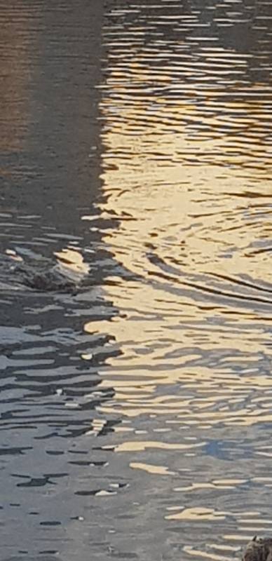20191025_145233