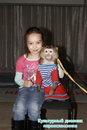 Цирк.21290