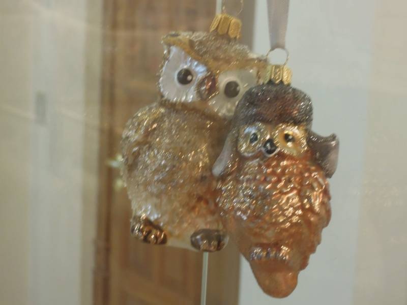 DSCN6975.JPG