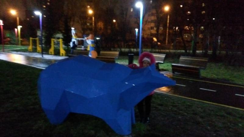 IMG_20171111_182813