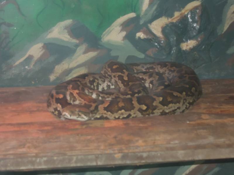 DSCN4836.JPG