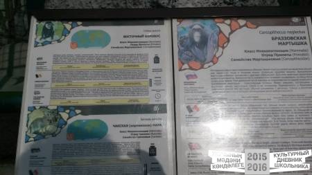 20160828_084206