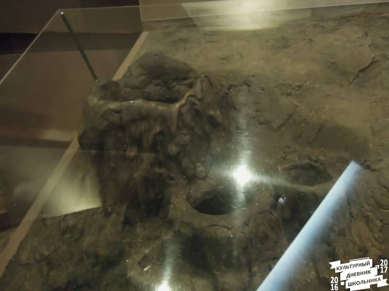 DSCN8543.JPG