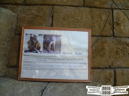 P1020867.JPG