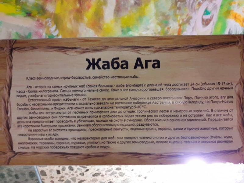 КК№46.Парк тропических бабочек.62356