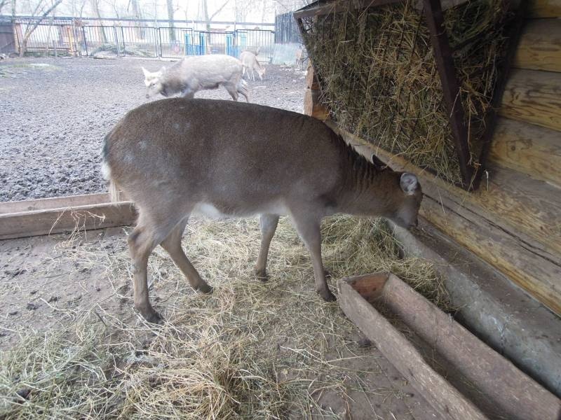 DSCN4901.JPG