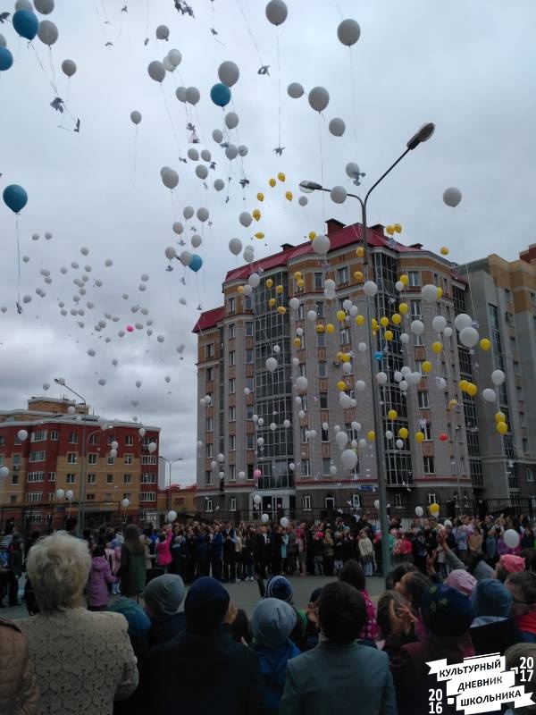 голубь22