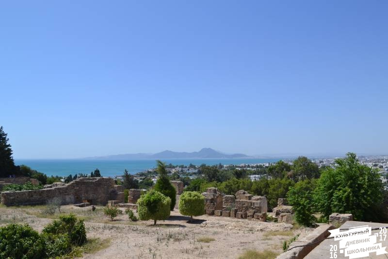 DSC_0102.JPG