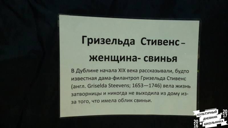 Кунсткамера63255