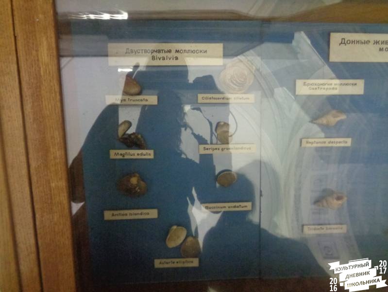 Музей Арктики и Антарктики г. Санкт-Петербург 136.JPG