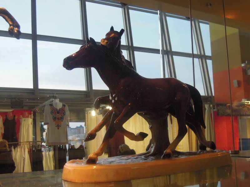 DSCN6843.JPG