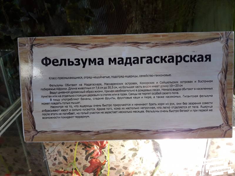 КК№46.Парк тропических бабочек.62338