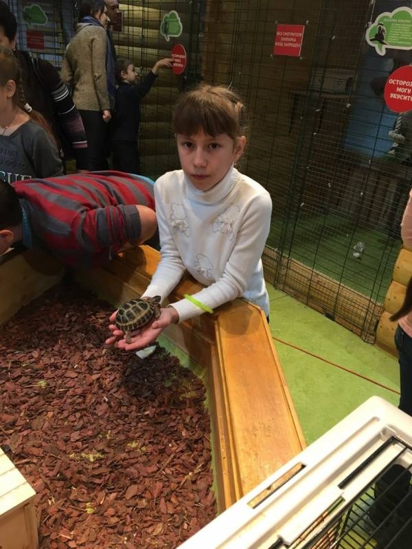 Трогательный зоопарк.93864