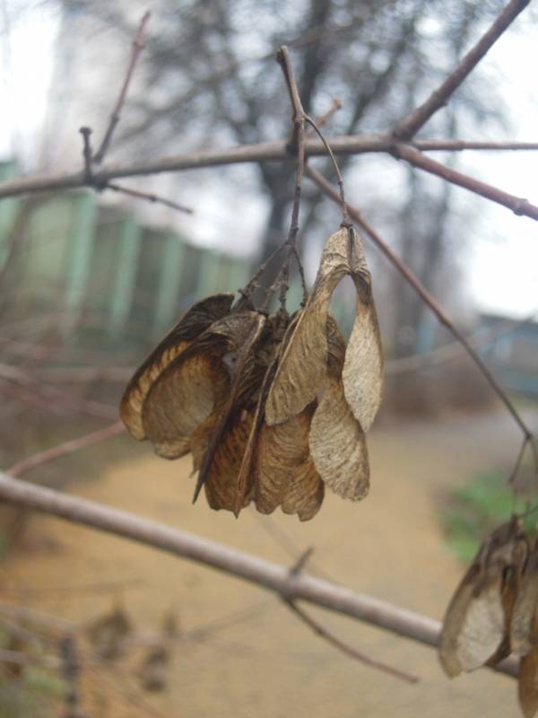DSCN5040.JPG