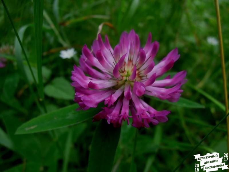 DSCN0583.JPG