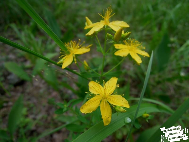 DSCN0580.JPG