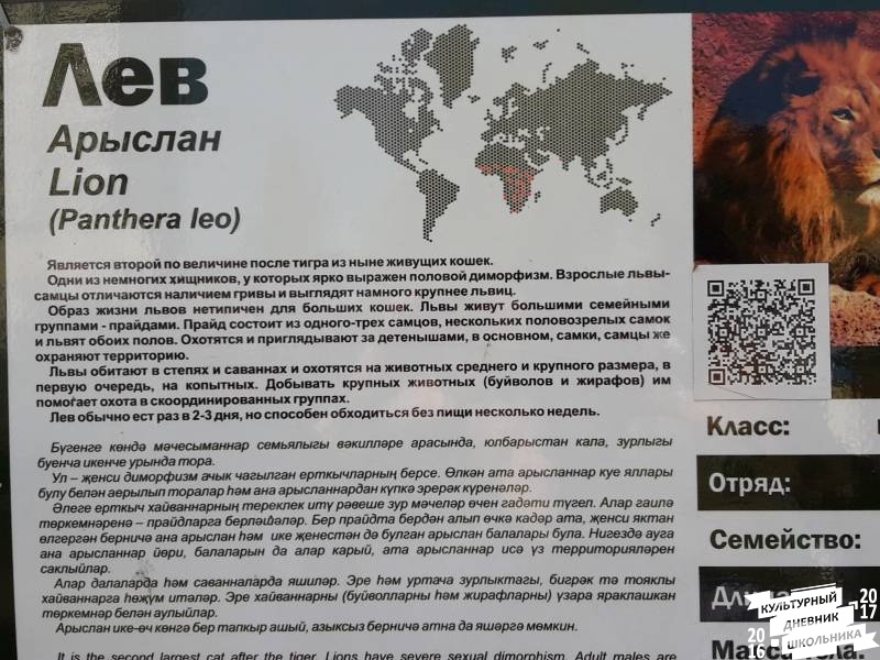 Лев. Зооботанический сад. Казань.78050
