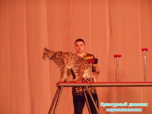 Цирк! "Сочи и Ко"9379