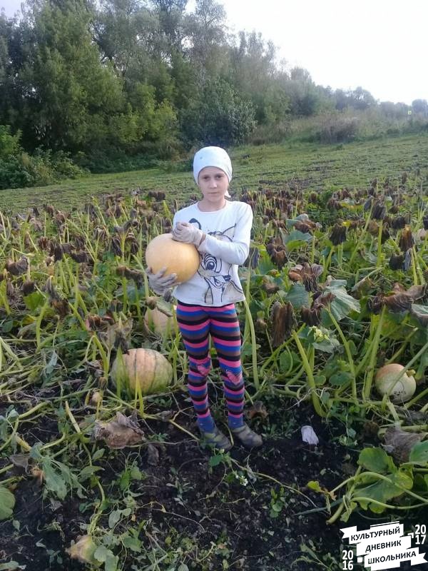 я и моя культурная команда собирает урожай76847