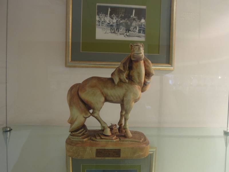 DSCN6809.JPG