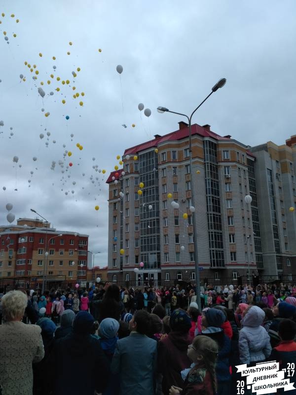 голубь24