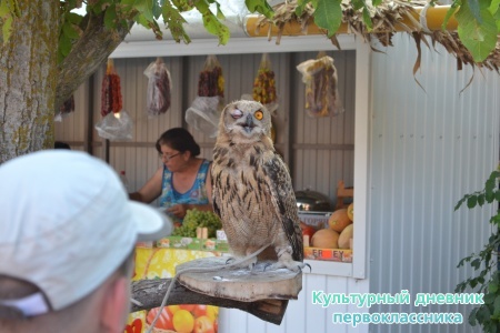 DSC_0902.JPG