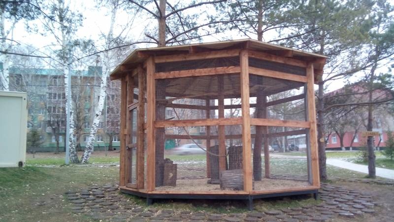 Детский парк "Каскад". 18.11.17.101075