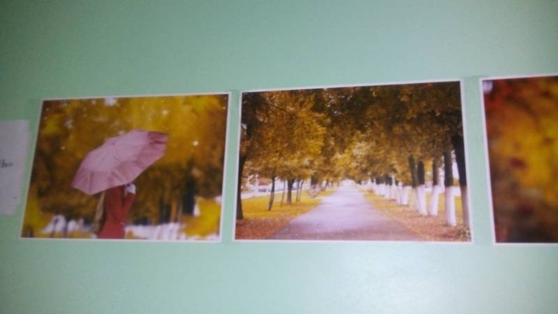 Фотовыставка "Золотая осень". МБОУ СОШ №20. 28.11.17.109840